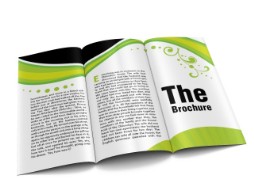 brochure brochure
